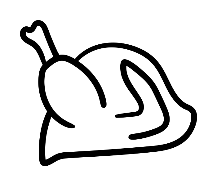 Icon 15
